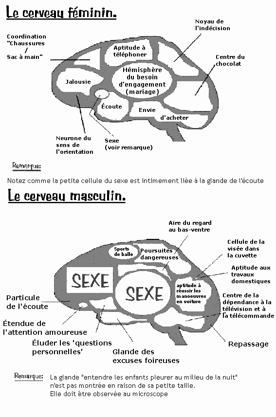 blague du cul
